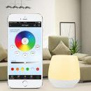WLAN (WIFI) Fernbedienung mit 2W LED Lampe (iBox1)